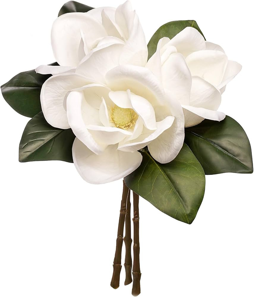 3 Stems Real Touch Creamy White Southern Magnolia Flowers, Artificial Realistic Magnolia Grandifl... | Amazon (US)