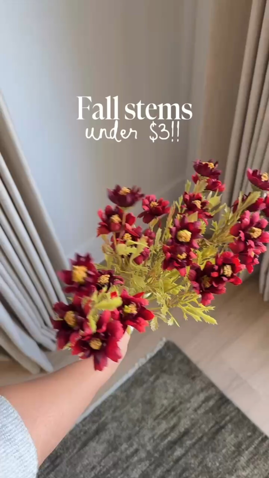 Fall stems under $3!!

fall stems, living room inspo, fall living room inspo, fall home finds, fall coffee table styling, neutral warm living room inspo

#LTKSeasonal #LTKStyleTip #LTKHome