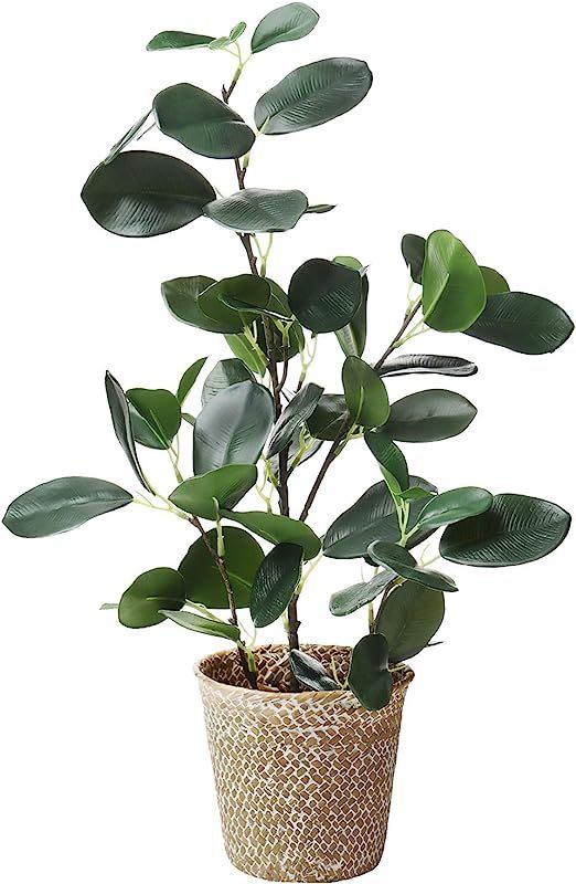 SAROSORA Artificial Ficus Tree Fake Plants in Weaved Pot 20" Height for Living Room Decor Indoor ... | Amazon (US)