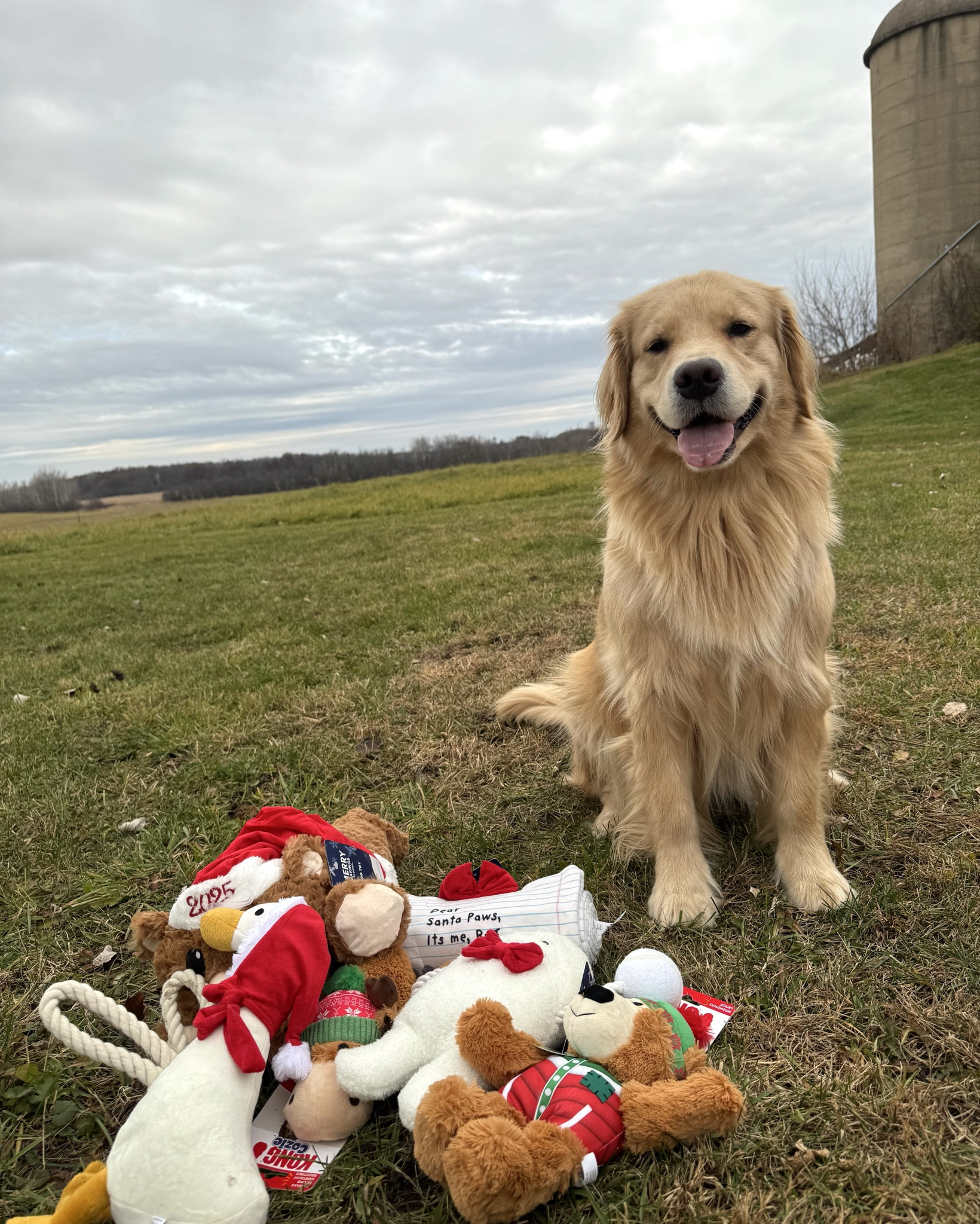 one stop shop for all your furry friend gifts this season! 🎄🐶@petco #petcopartner #ad