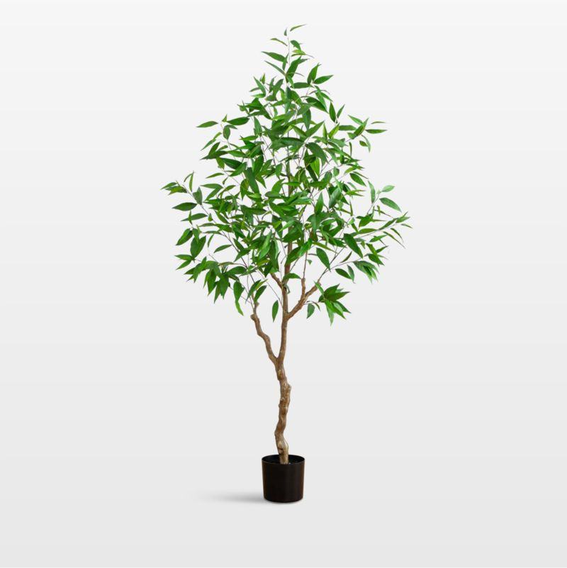 Faux Long Leaf Greco Eucalyptus Tree 7' | Crate & Barrel | Crate & Barrel