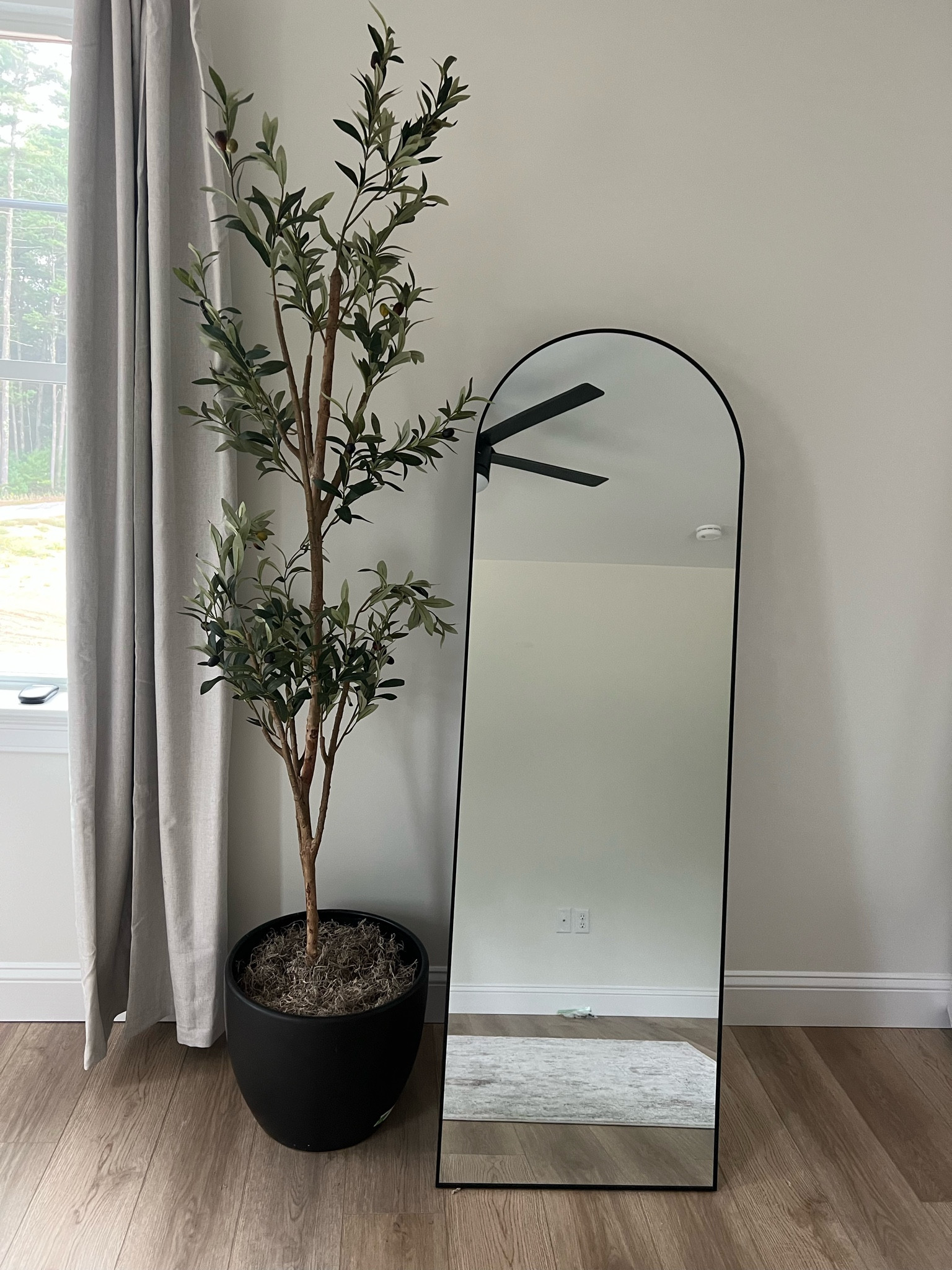Amazon artificial olive tree and mirror!

#LTKfindsunder100 #LTKhome #LTKGiftGuide