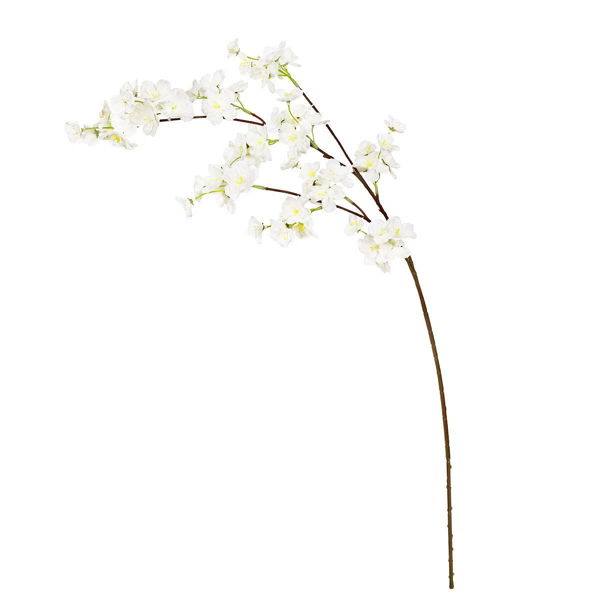 Natural Cherry Blossom Sprays (Set of 6) | Birch Lane