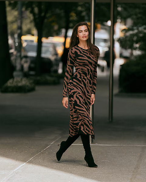 Zebra Crew Neck Long Sleeve Midi Sweater Dress | Express