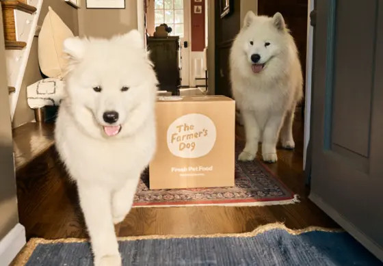 Human-Grade Fresh Dog Food | The Farmer's Dog