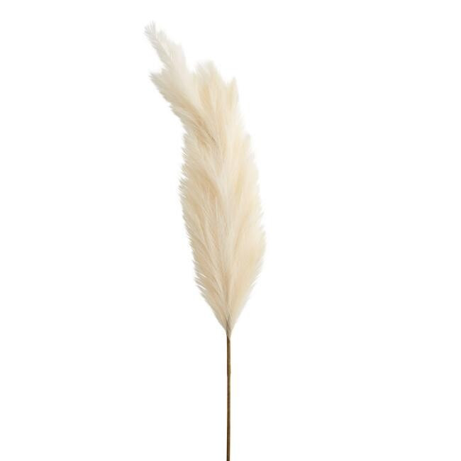 Faux Pampas Grass Stem 68 Inch | World Market