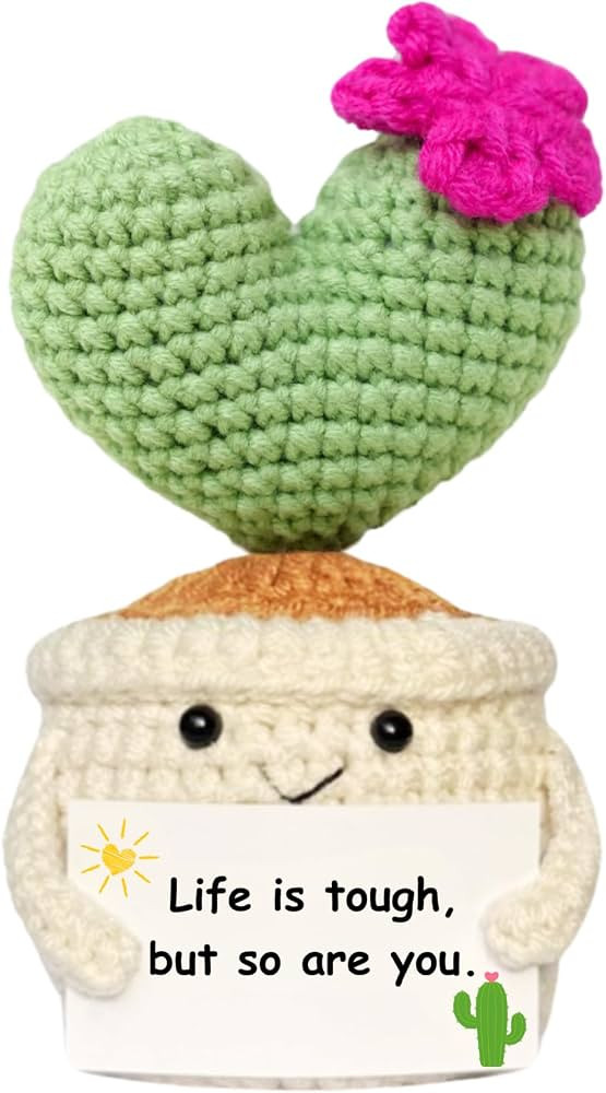 Get Well Gifts for Women, Handmade Crochet Cactus Plant | Amazon (US)