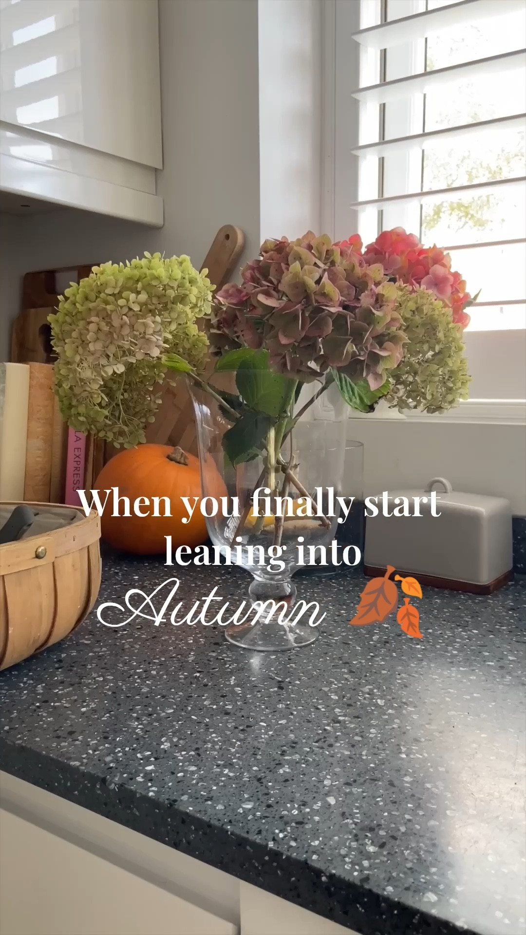 Golden leaves, cosy kitchens, and all the little joys of Autumn ✨ I’ve been embracing slow autumn weekends, picking dried hydrangeas from the garden, cooking comforting seasonal meals, mixing a cosy Autumn cocktail for cocktail hour on a Saturday and exploring autumn produce at the farmers market. 

#LTKHome #LTKOver40 #LTKSeasonal