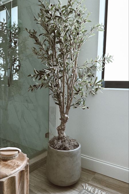 Amazon RH look for less cement planters // set of 3!! #olivetree #cementplanter #planters #indoorplanter #outdoorplanter #homedecor #homefinds #tree #fauxtree #bathroom #bathroomdecor #neutraldecor #aestheticdecor #amazonhome 

#LTKhome #LTKsalealert #LTKunder100