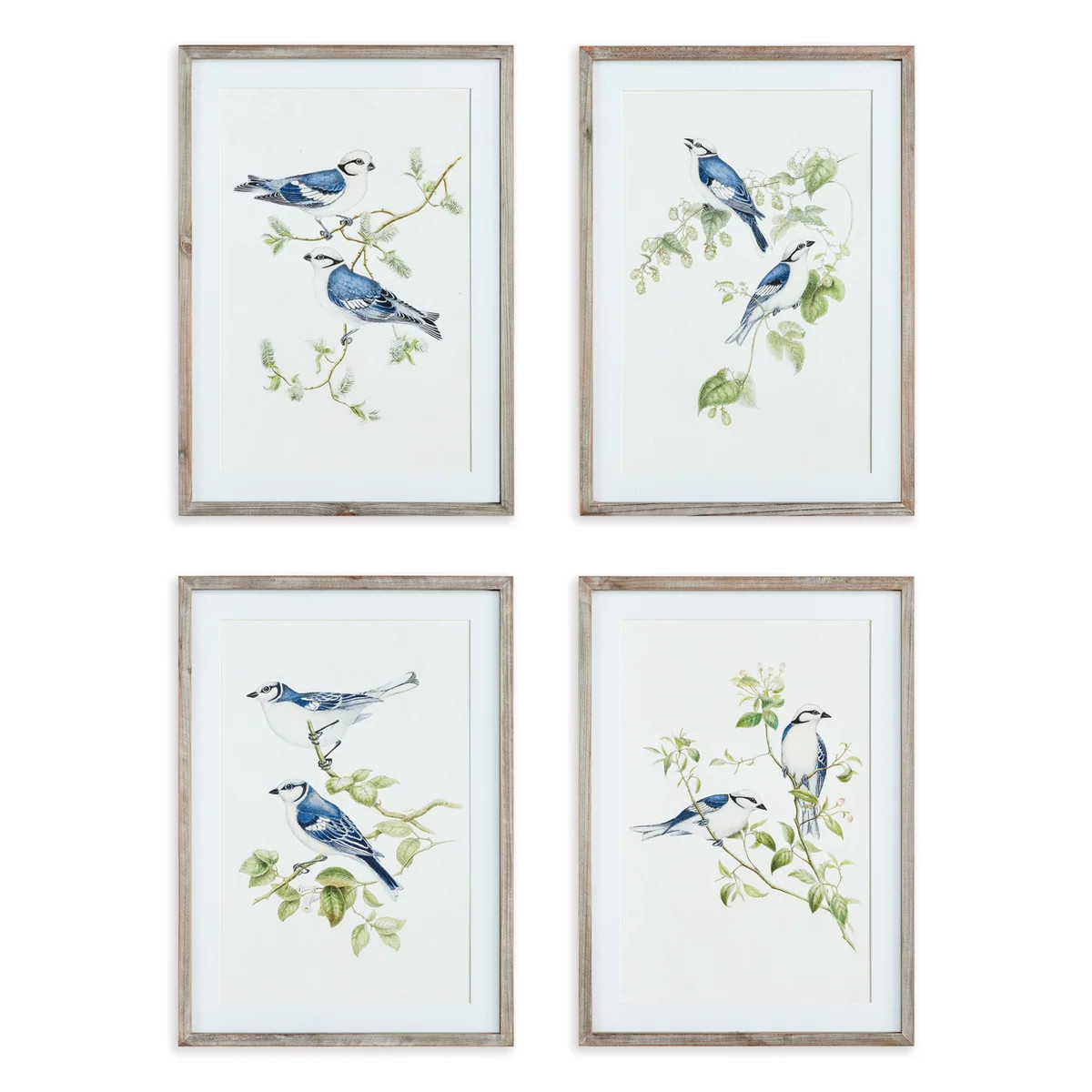 Set of Four Framed Blue Bird Prints Wall Art | The Well Appointed House, LLC