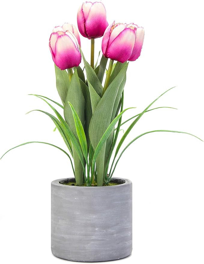 Jusdreen Artificial Potted Tulips Flowers with Cement Vase Vivid Tulip Flowers Arrangement for Ho... | Amazon (US)