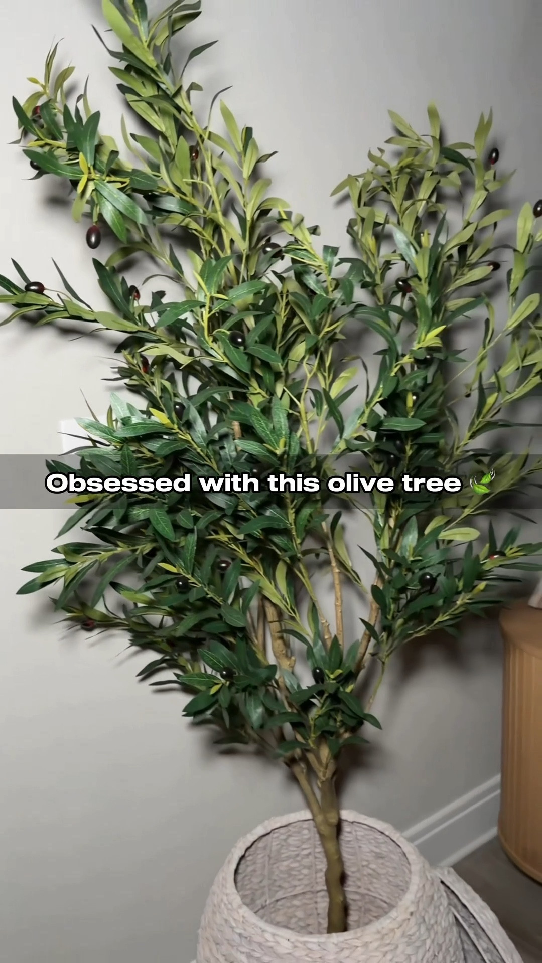 The perfect faux olive tree to fill that empty space in your home🍃

#fauxolivetree #homedecor #apartmentdecor #olivetree #homedecorideas
#oliveplantdecor
#modernhomedecor

#LTKSpringSale #LTKmomlife #LTKHome