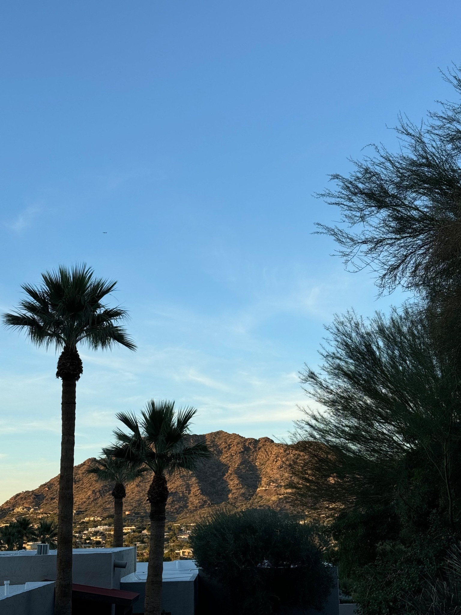 For a trip 

#LTKgrwm #LTKootd