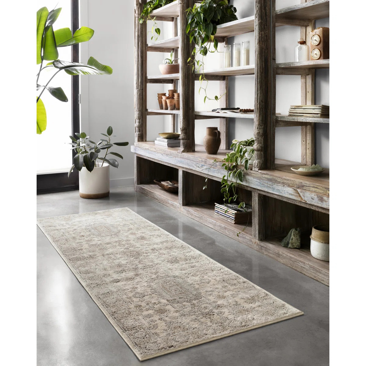 Sagefield Oriental Indoor Rug | Wayfair North America