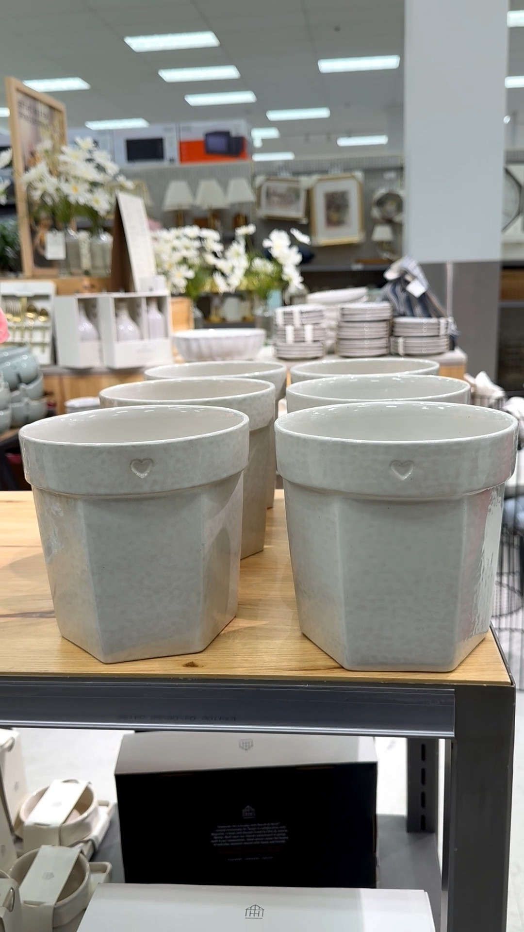 If you’re like me and love container gardening and hearts…this ceramic pot is for us! 🤍

This sour cream colored 6” pot features an internal round shape with an external faceted design, a drainage hole, and a sweet stamped heart icon on the rim.

And if you’re a mosaic artist this would also make a fun substrate for your tile work. For mosaic tips, tutorials + inspiration please visit my YouTube channel: YouTube.com/julieweilbacher. Follow @julieweilbacher on Instagram for all things mosaic art.

#flowerpot #plantpot #target #mosaic #magnolia #heartflowerpot #giftsforgardeners #heartpot #whiteflowerpot #homedecor #valentinesdaydecor

#LTKFindsUnder50 #LTKSeasonal #LTKHome