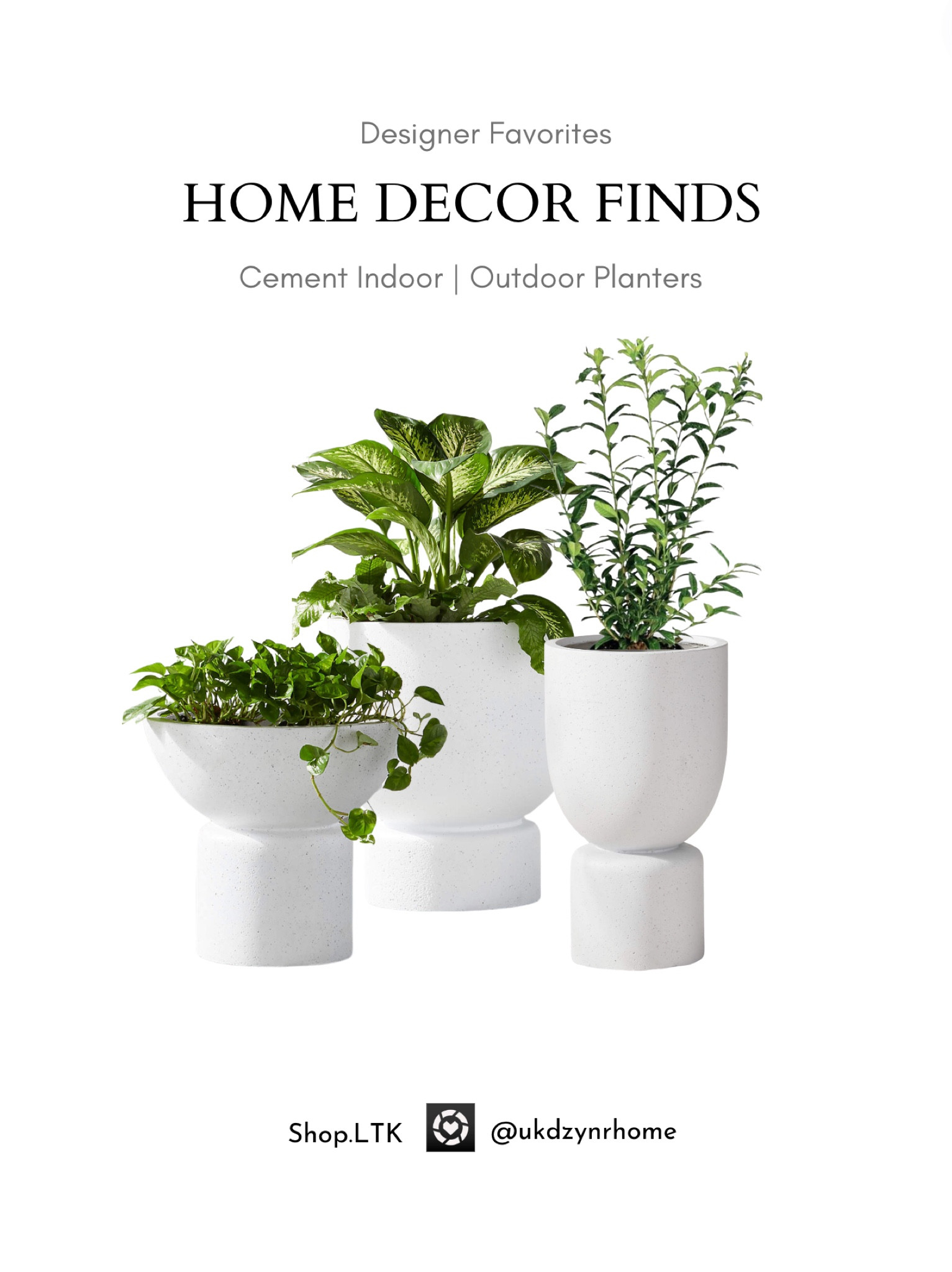 Cement Indoor | Outdoor Planters | CB2 | Patio Plants 

#LTKHome