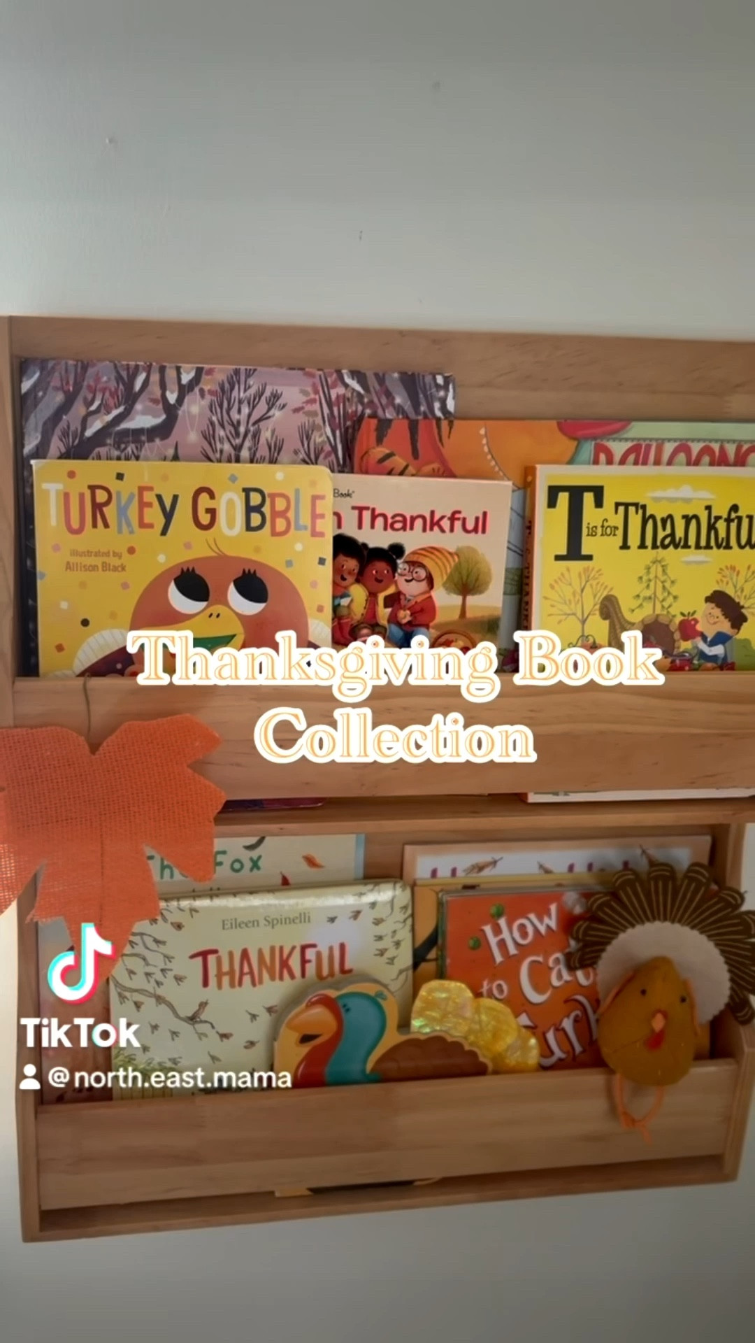Thanksgiving Books for Kids 🦃🍂🍁

#LTKFamily #LTKKids #LTKHoliday