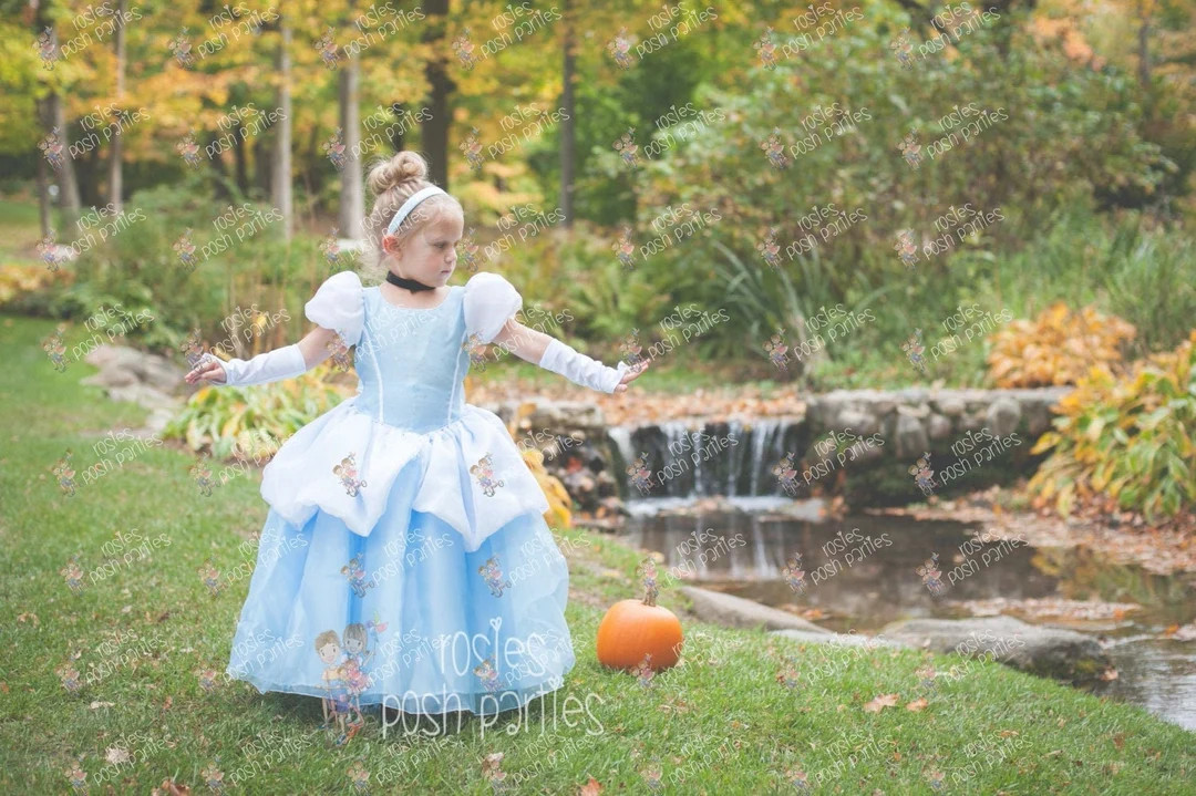 Cinderella dress for Birthday costume or Photo shoot Cinderella dress outfit Birthday dress Cinde... | Etsy (US)