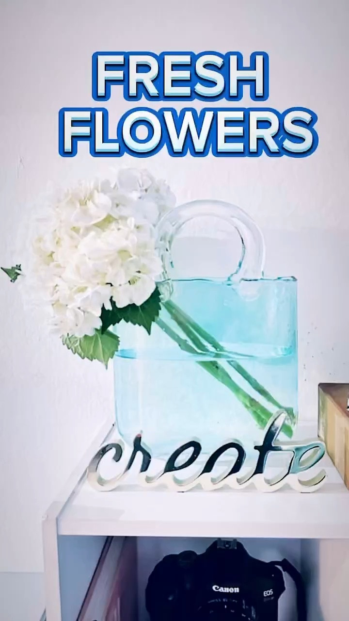 Viral purse vase ✨ Click on the “Shop  “Cyber Monday” collage” collections on my LTK to shop.  Have an amazing day. xoxo


#LTKCyberWeek #LTKGiftGuide #LTKsalealert