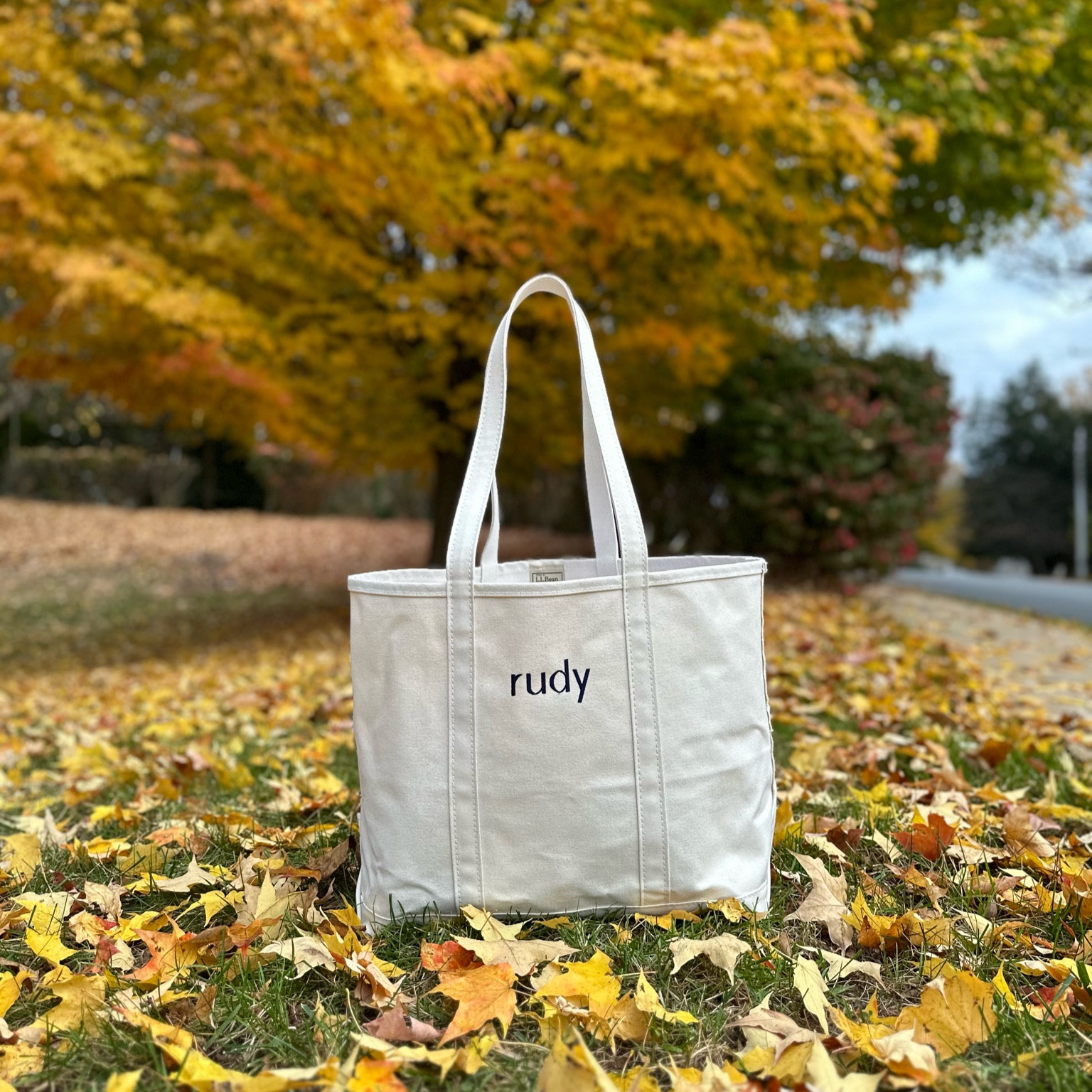 The ll bean boat and tote is the perfect bag for travel and running errands  

#LTKTravel #LTKGiftGuide #LTKItBag