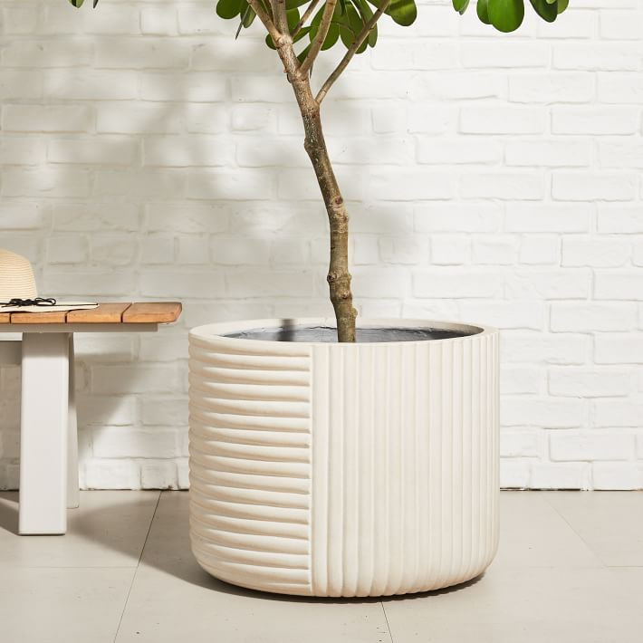 Cecilia Ficonstone Indoor/Outdoor Planters | West Elm (US)