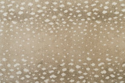 Fauna Rug, Almond | One Kings Lane