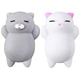 Nutty Toys Squishy Cat Set - 2 Soft Silicone Kawaii Kitties Top Stress Relief Toy 2022 Unique Gif... | Amazon (US)