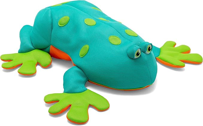Big Joe Pool Petz Pool Float | Amazon (US)