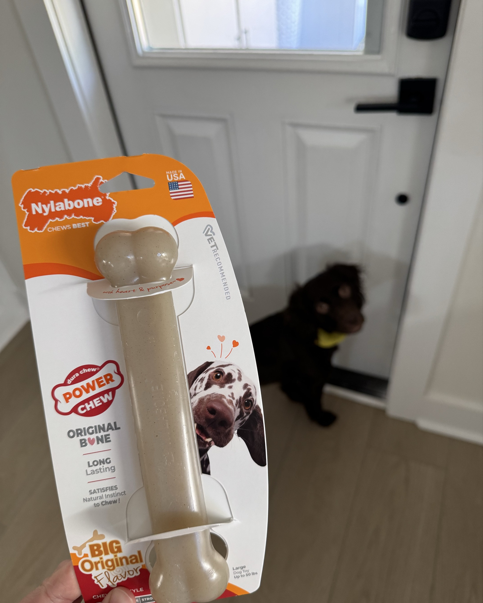 Christmas for the dogs! 🐶🎄🤍 

#LTKSeasonal #LTKGiftGuide #LTKHoliday