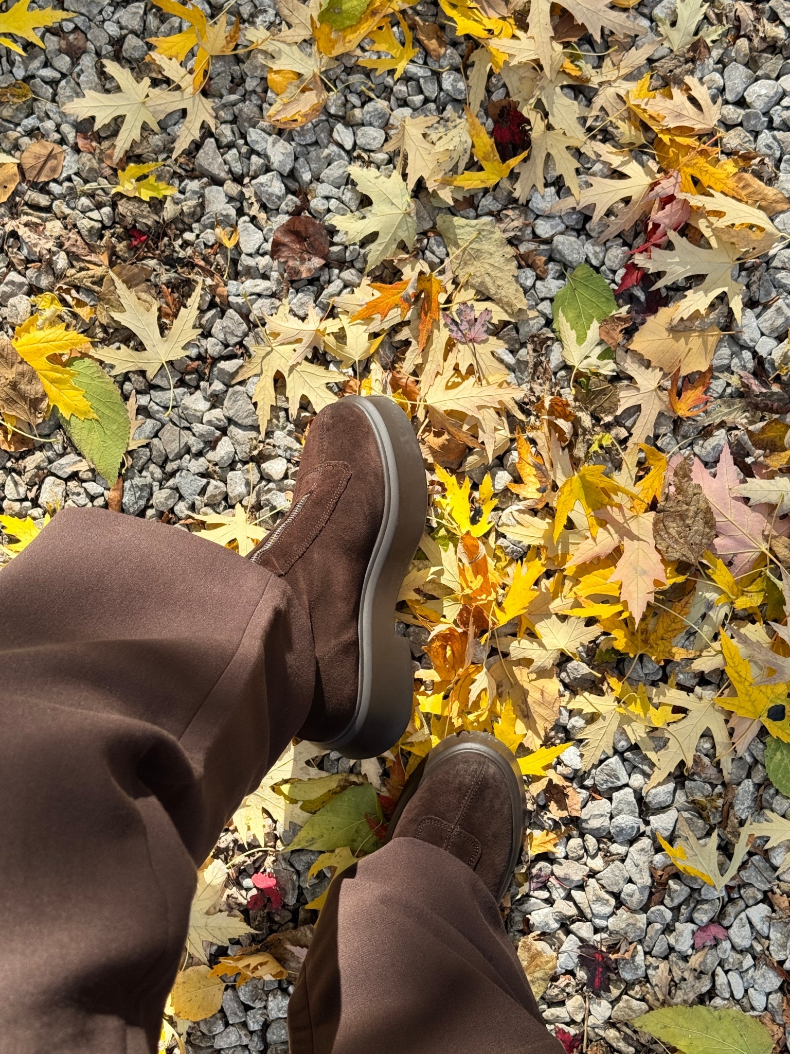 The perfect dark brown suede boots for fall !!! Go so well with my work clothes or jeans. 

#LTKWorkwear #LTKSeasonal #LTKStyleTip