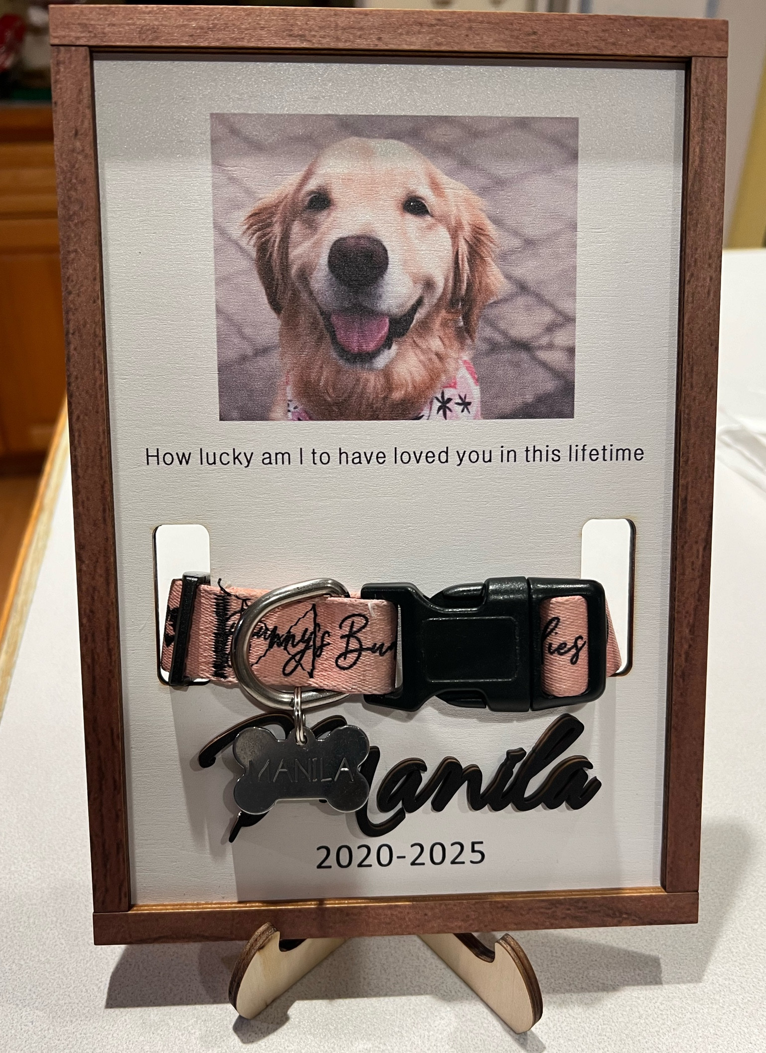 The sweetest gift from my sister to honor beanie 🤍 

#dog #rescue #rescuedog #grief 

#LTKHome #LTKGiftGuide #LTKPets