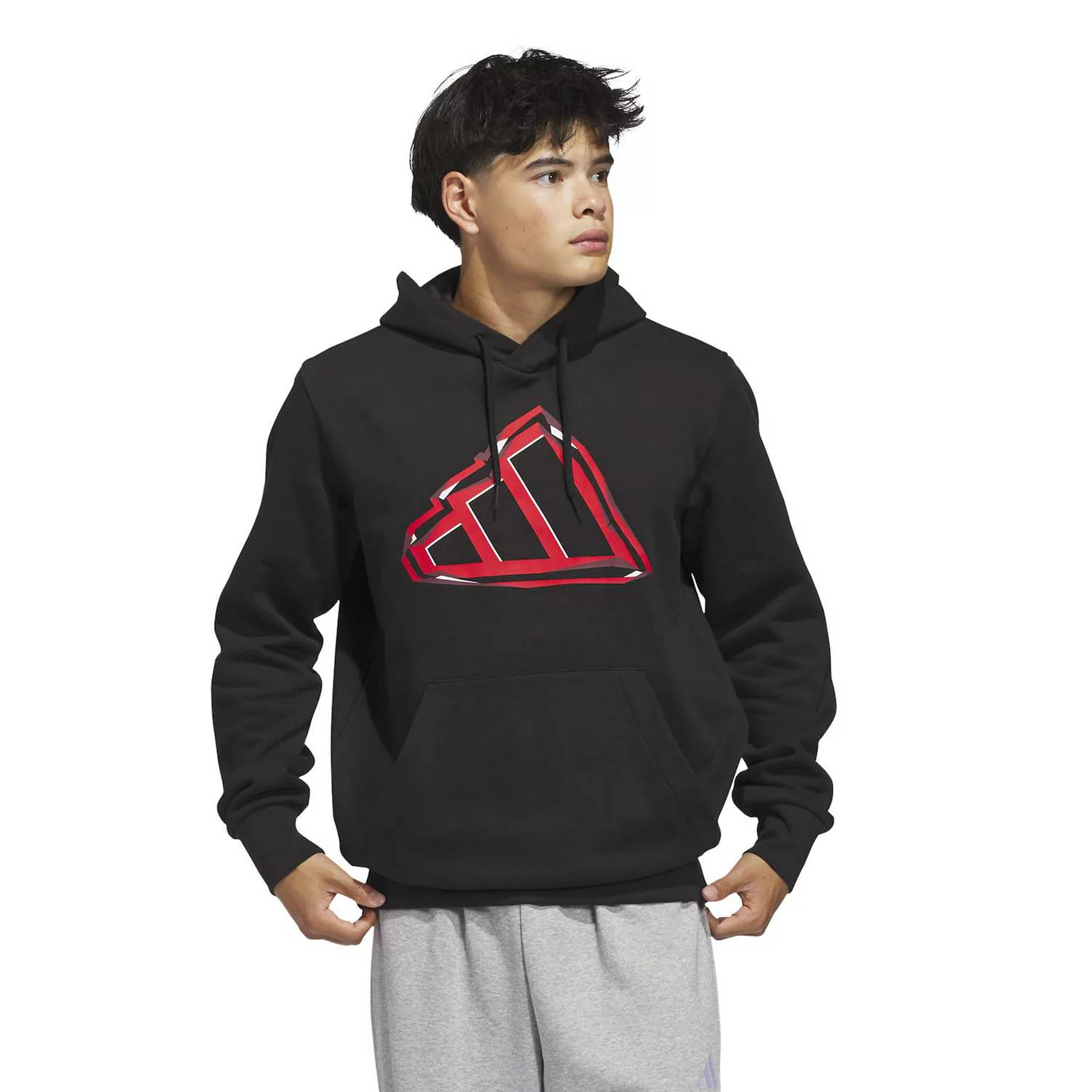 Men's adidas Big Logo Graphic Hoodie | Kohl's