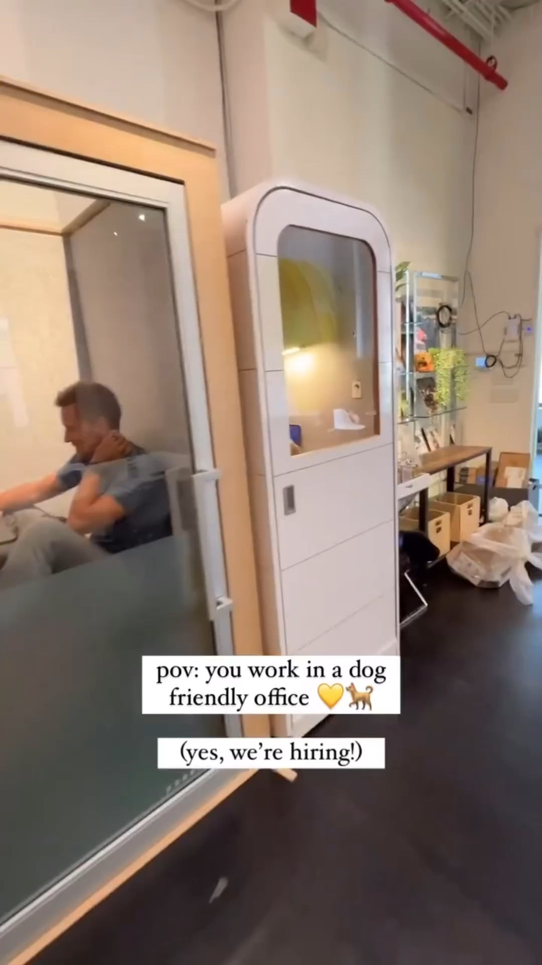 Amazon Favorites, amazon finds, amazon must haves, amazon essentials, amazon under $50, amazon under $100, amazon office, amazon made me buy it, found it on amazon 

#LTKVideo #LTKsalealert #LTKhome