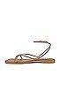 Steve Madden Agree Sandal in Tan from Revolve.com | Revolve Clothing (Global)