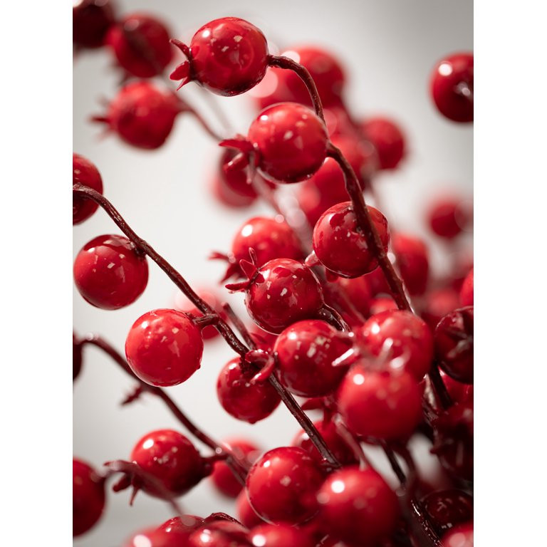 Sullivans Berry Artificial Stem 21.5"H Brown | Walmart (US)