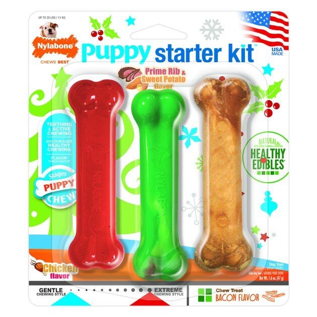Nylabone Holiday Puppy Starter Kit Dog Toys, 3 count | Chewy.com