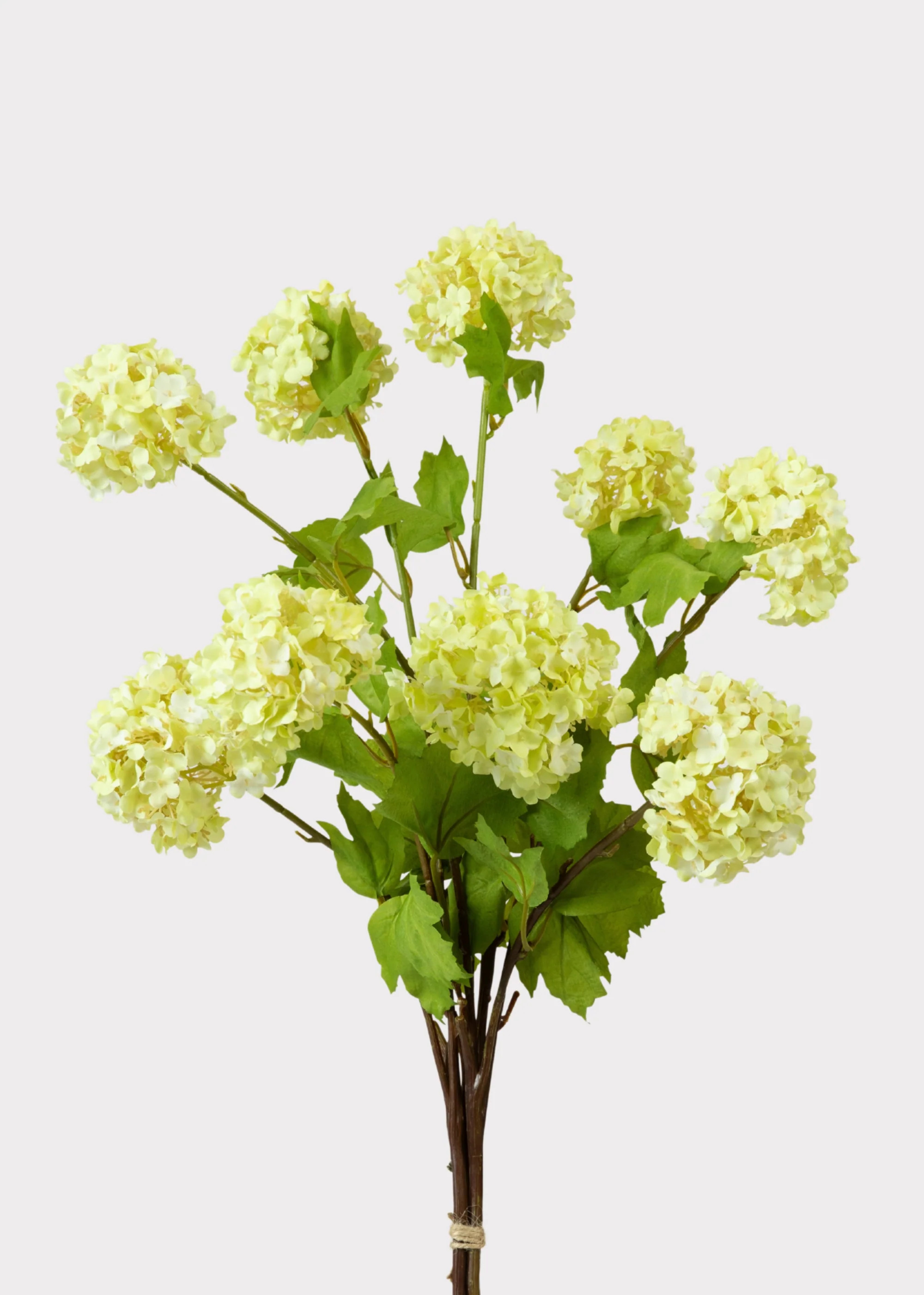 Lime Green Snowball Bundle | Realistic Faux Flowers | Afloral | Afloral
