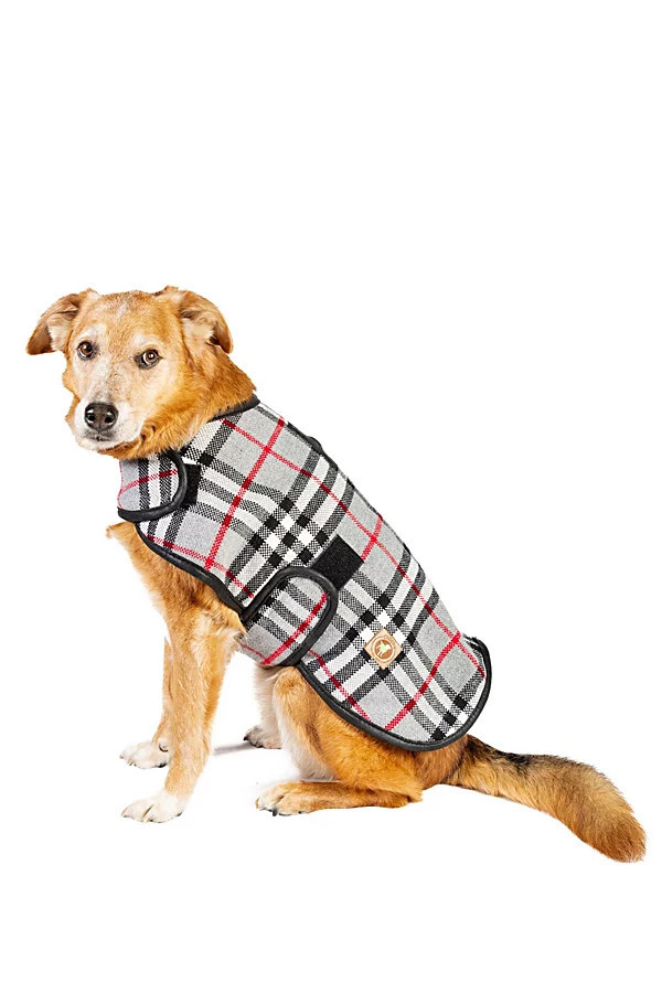Chilly Dog Steel Tartan Plaid Coat | Free People (Global - UK&FR Excluded)