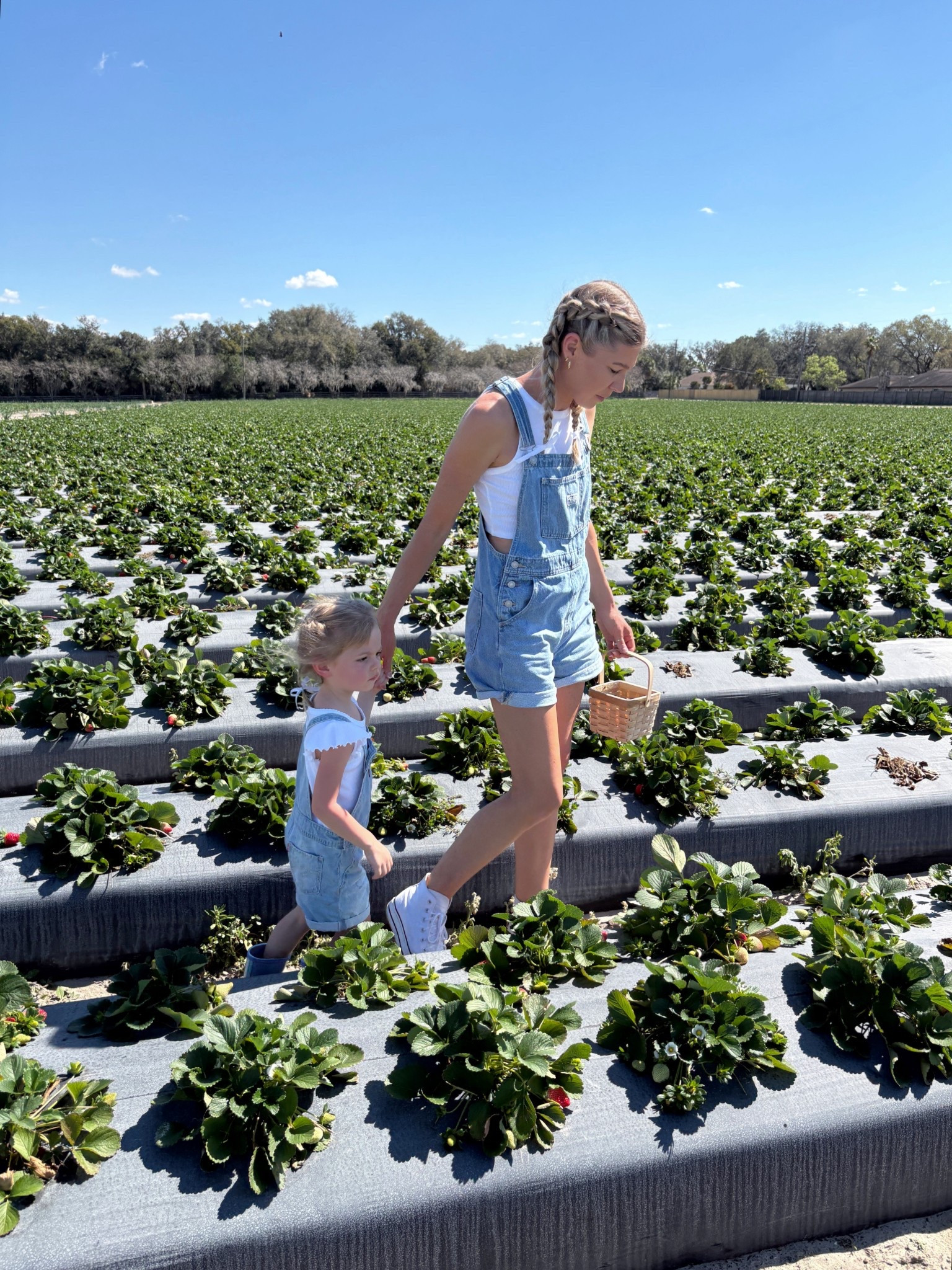 Strawberry picking 🍓🌼❤️


Spring fashion. Strawberry picking outfit. Women’s Levi’s denim shortalls. Toddler Levi’s denim shortalls. Women’s converse. Womens white sneakers. Spring aesthetic. Mommy & me fashion.

#LTKKids #LTKootd #LTKTravel