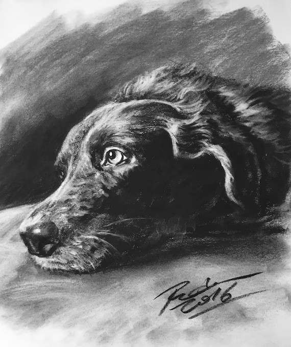 Custom Pet Portrait Charcoal | Custom Dog Portrait| Pet Commission | Custom Charcoal Pet | Custom... | Etsy (US)