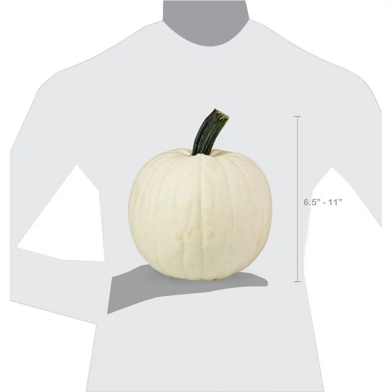 White Pumpkin | Walmart Online Grocery