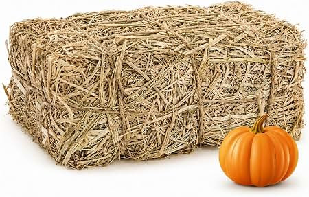 Decorative Hay Bale, 16 x 8 x 6 in 100 % Natural Straw Fall Halloween Decor | Natural Dry Straw T... | Amazon (US)