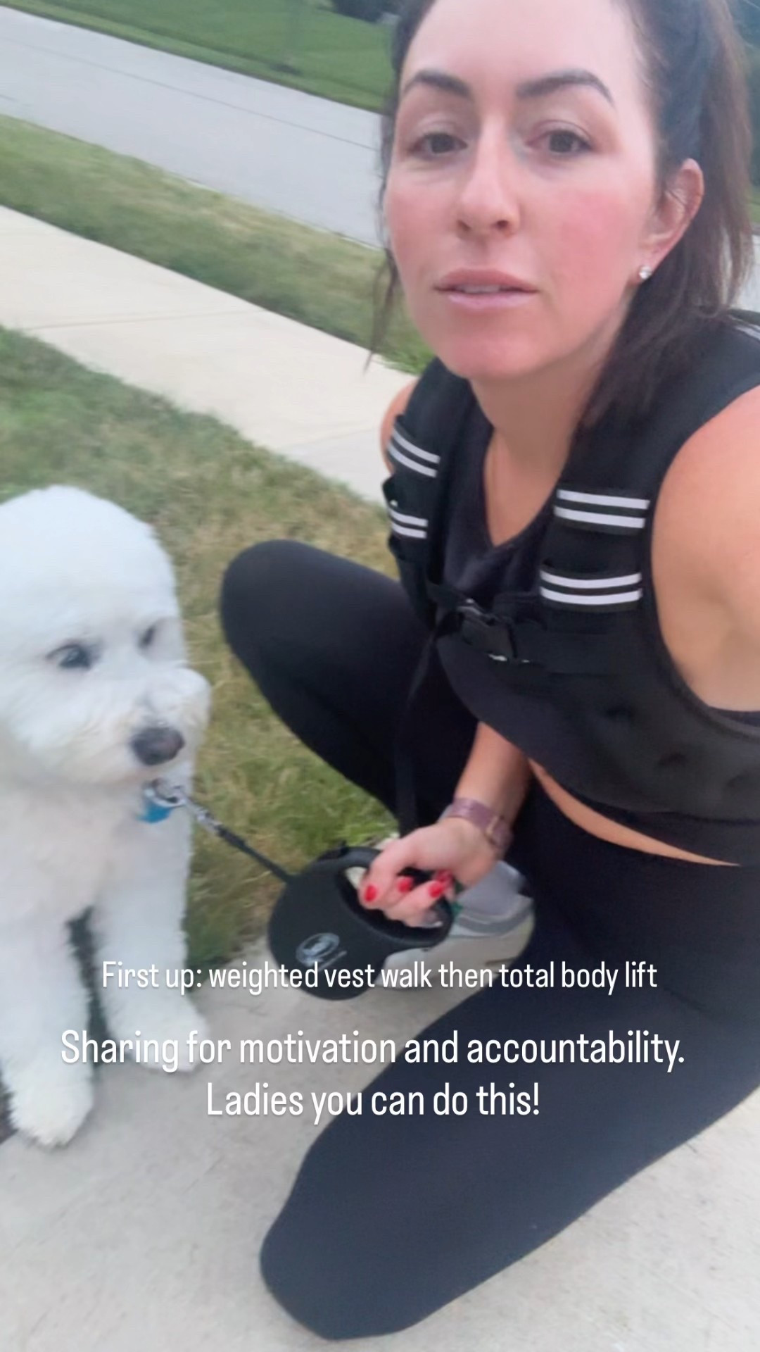 Weighted vest - 12lb 

#LTKPets #LTKActive #LTKSaleAlert