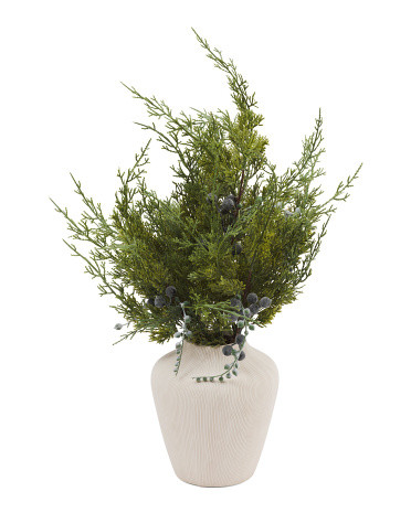 Oversized Juniper Arrangement In Textured Vase | Plants & Planters | Marshalls | Marshalls