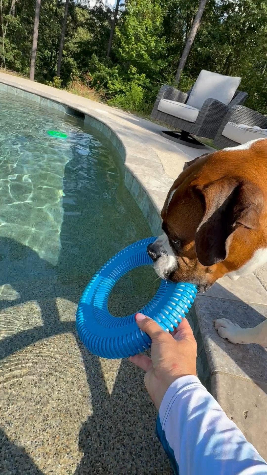 Another fun floating pool or lake toy that my boxer, Bruno, loves!!! These are perfect for the pool or a fun lake daywater dog

#LTKFamily #LTKPets #LTKSwim