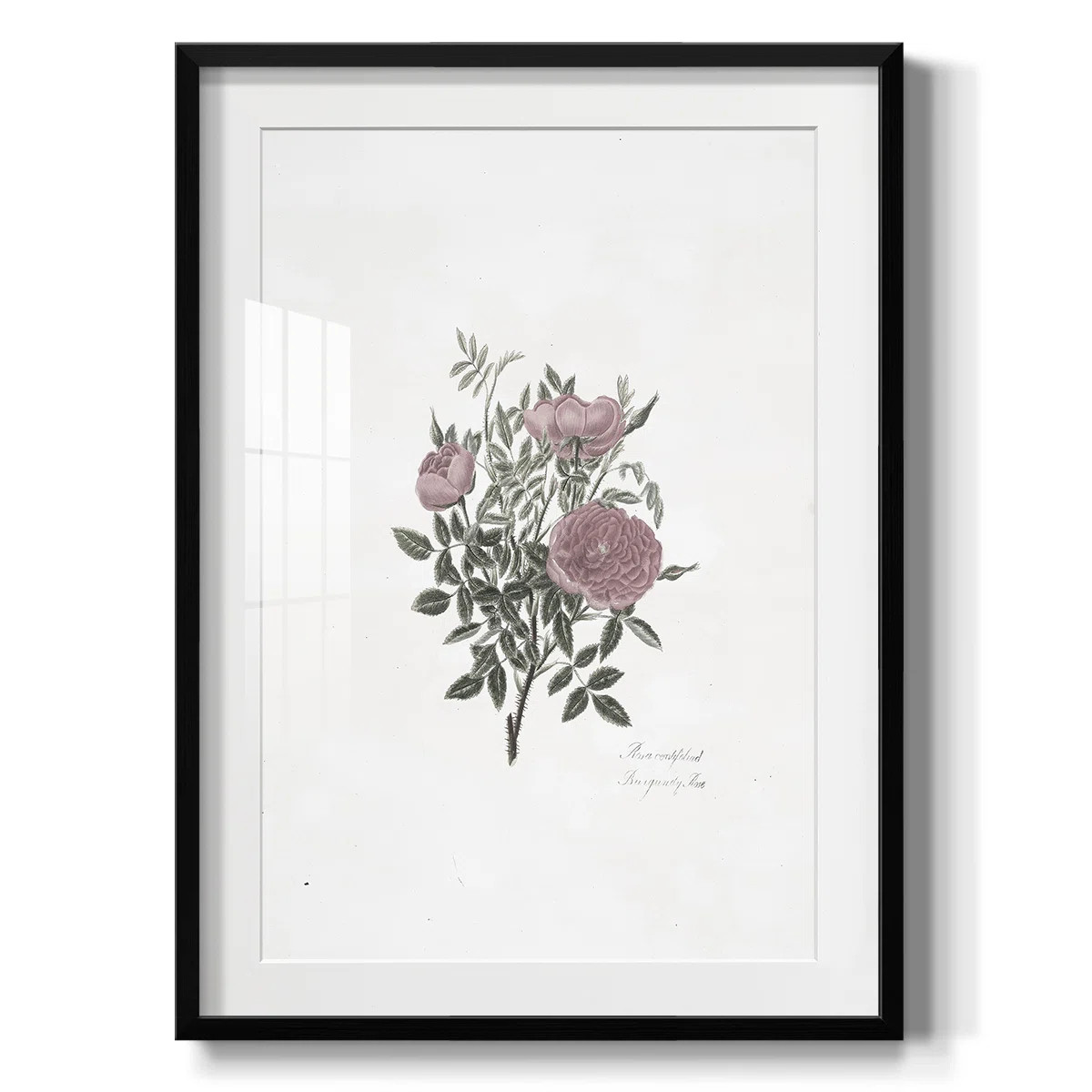 Vintage Floral Print CXC -Framed Print | Wayfair North America