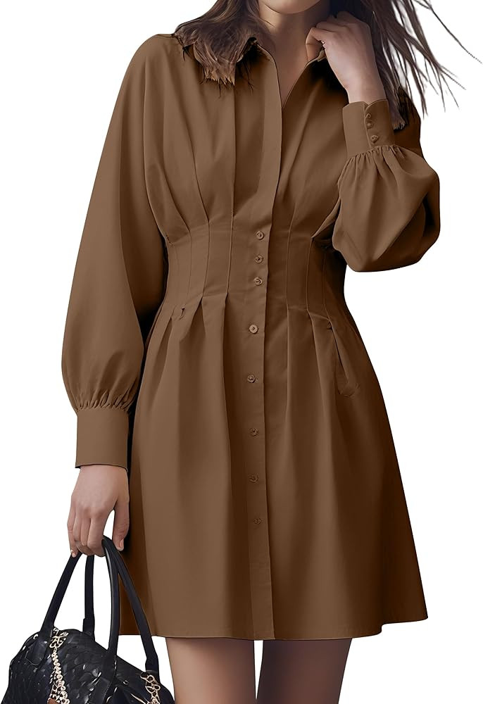 Women Button Front Pleated Shirt Dress Casual Long Sleeve Corset Waist Button Down Blouse Mini Dr... | Amazon (US)