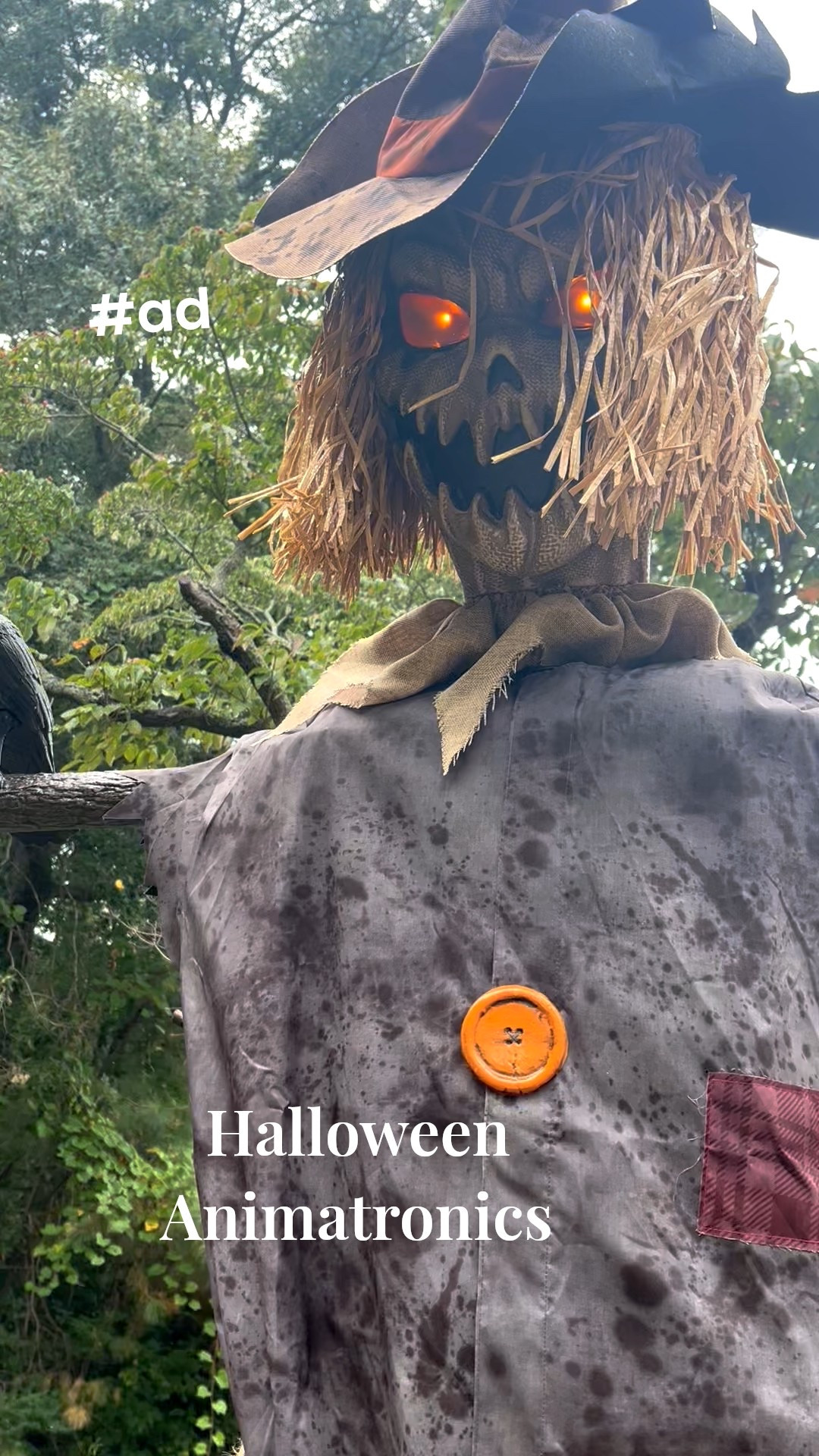 Halloween animatronics at Lowe’s scarecrow reaper skeleton 
#ad
#lowespartner
@loweshomeimprovement 

#LTKSaleAlert #LTKSeasonal #LTKHome