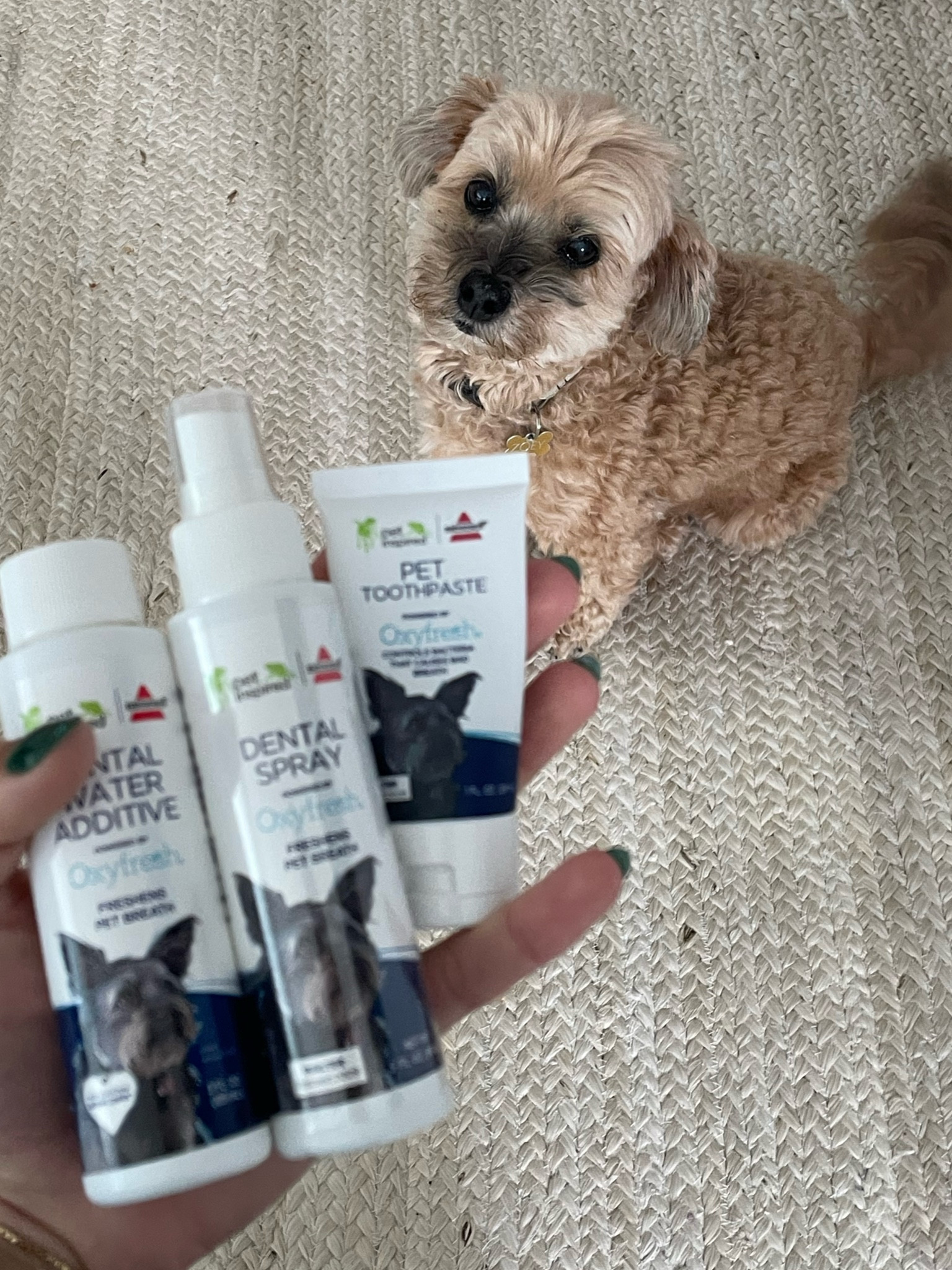 Me and Zoey’s fav dog toothpaste, water additive and dental spray!

#LTKhome #LTKunder50 #LTKfamily