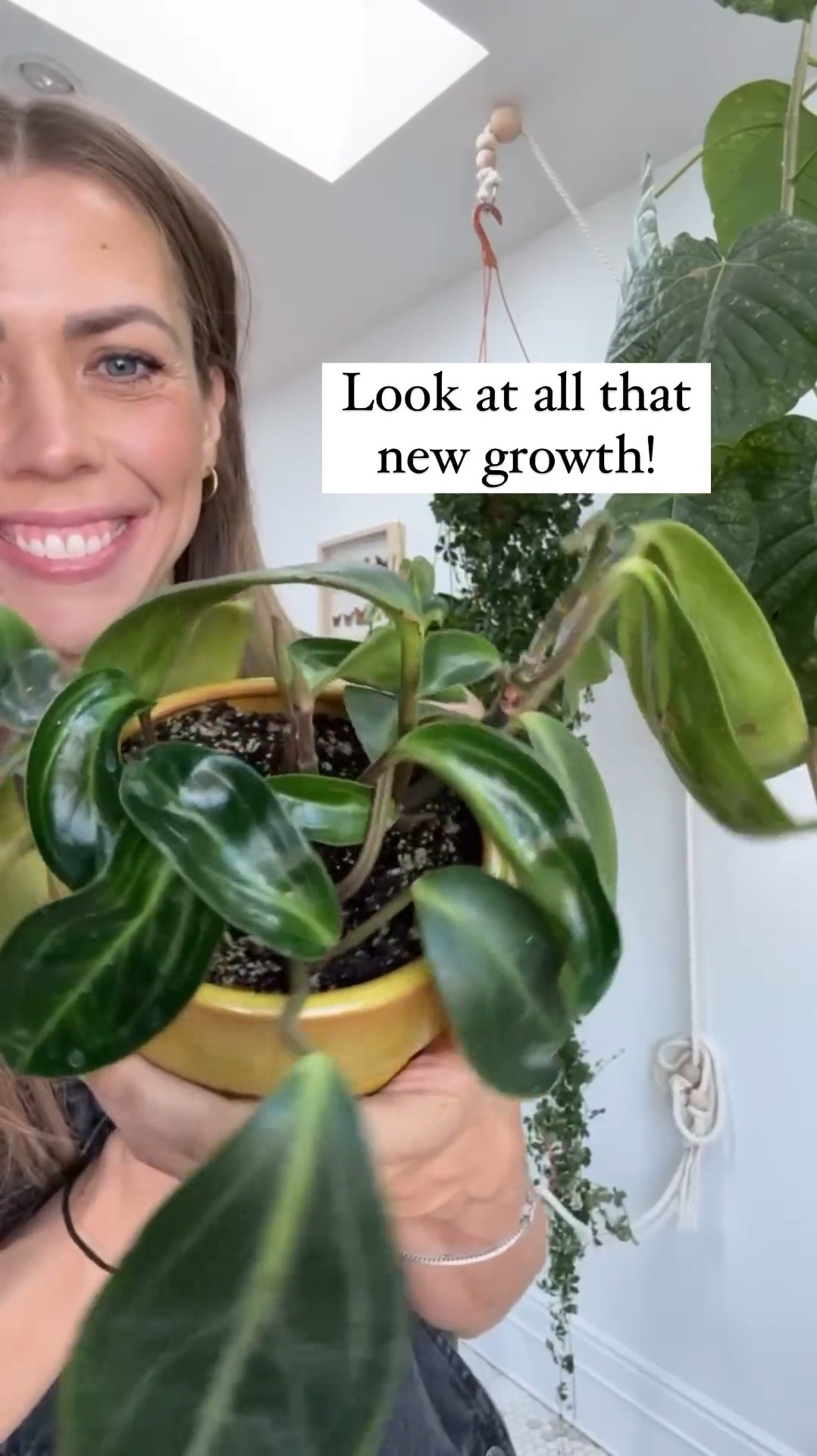 The Peperomia Elongata got a repot and it is doing so good you guys! I wish I had a link to this cute pot but the Etsy store, Front Range, is closed down for now.  I’ve linked alternative ones and my overall shorts and tank!

#LTKfindsunder50 #LTKhome #LTKstyletip